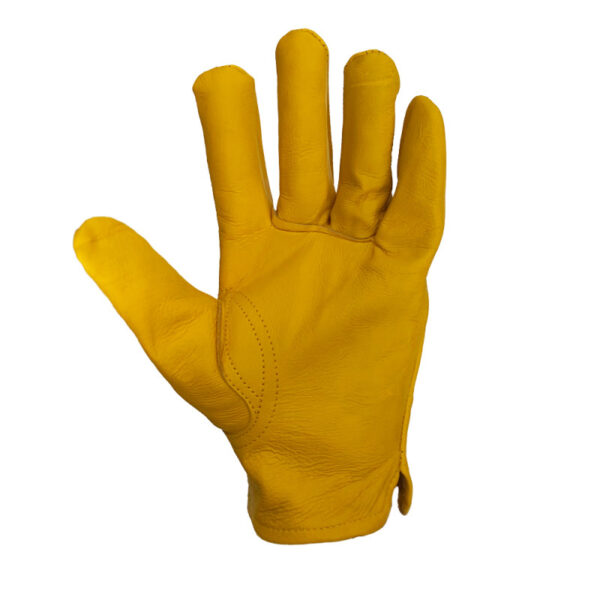 bio camping gloves (2)
