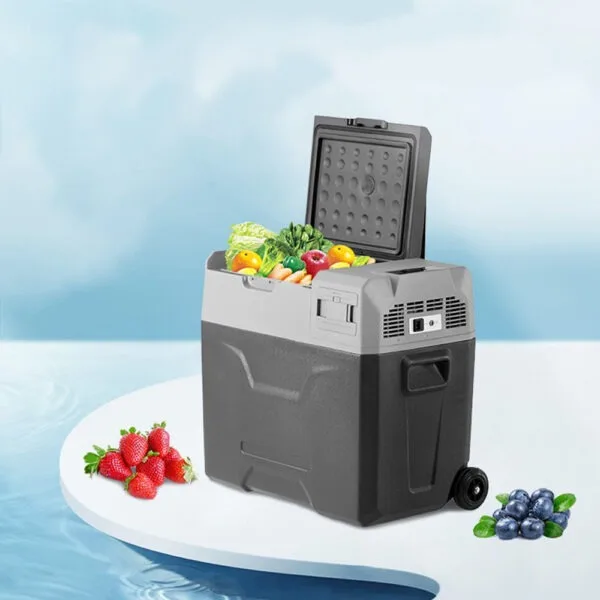 یخچال مسافرتی 50 لیتری آلپیکول مدل ECX50 - Image 7