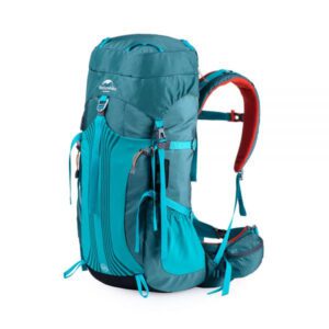 کوله پشتی کوهنوردی نیچرهایک مدل 65L Professional Trekking (1)