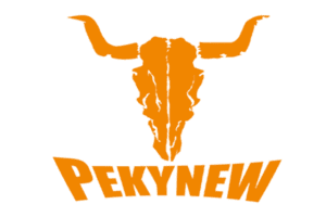 PEKYNEW LOGO