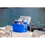 COLEMAN 45L+4.7L+1.8L COOLER BOX COMBO (1)