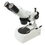 Stereo Microscope