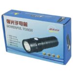 SMALL SUN ZY-E20 CAMPING TORCH (2)