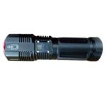 SMALL SUN ZY-F790 CAMPING TORCH (2)