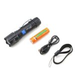 SMALL SUN ZY-P008 CAMPING TORCH (2)