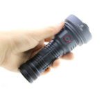 ZINGARO W5201-2 CAMPING TORCH (2)