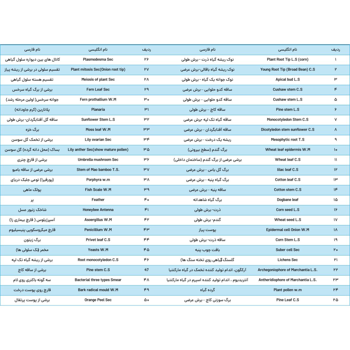 نمونه‌ آماده میکروسکوپی برسر مدل 100 عددی