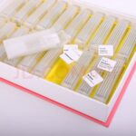 BRESSER PREPARED SLIDES SET 100PCS, WITH CASE