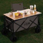 TANLOOK HW-4307 FOLDING TABLE for WIDE WHEEL CAMPING CART (1)