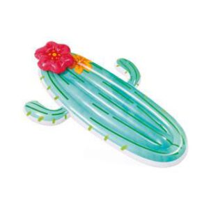 INTEX CACTUS INFLATABLE POOL FLOAT (2)