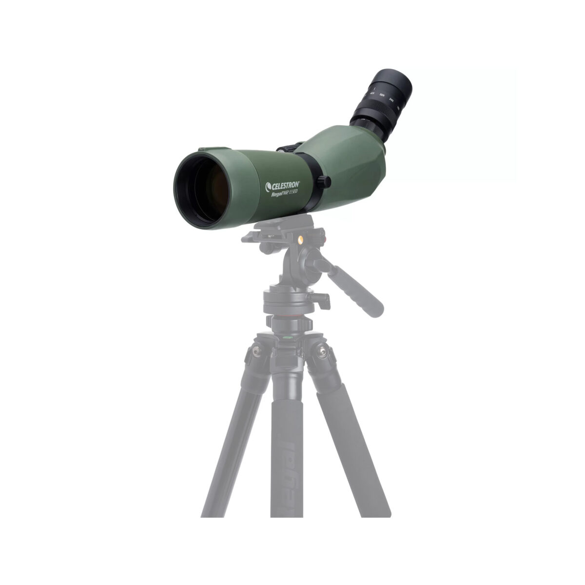 دوربین تک چشمی سلسترون مدل REGAL M2 16-48x65 ED