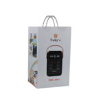 پاور استیشن چندکاره توبیز مدل TBS-60A با اینورتر 300 ولت
