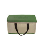 بخاری درجای گازی پرتابل دارگون مدل D11