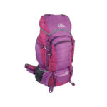 کوله پشتی هایلندر مدل RUC247L-PE