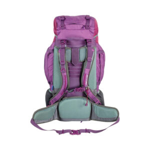 کوله پشتی هایلندر مدل RUC247L-PE