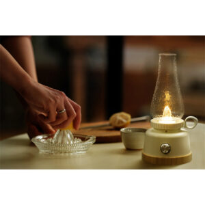 چراغ کمپینگ Wildland مدل Oil Lantern