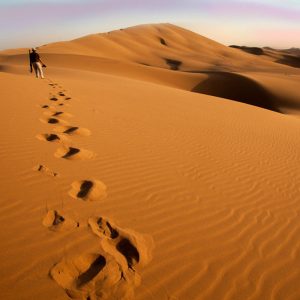 کویییییر کویییییر